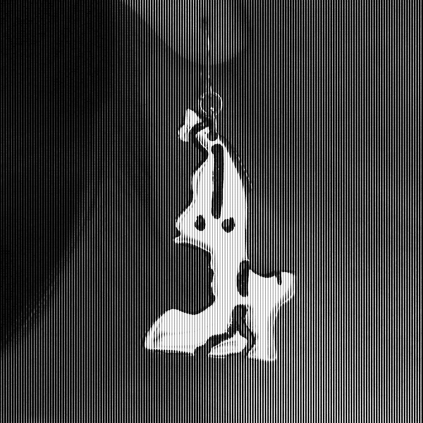 HALFHUMAN ORIGINALS Stainless Steel Drop Earrings